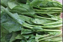 春季多吃這4種蔬菜，能補(bǔ)氣血，面色紅潤(rùn)