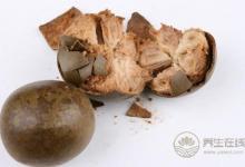 春分清熱通便 泡一杯羅漢果足以