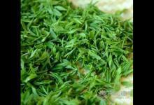 清明茶什么時候采？喝清明茶有哪些好處