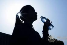 立夏需養心，推薦兩款養生安神湯