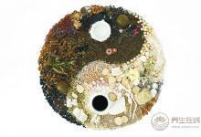 春季養生怎可少得了養生湯粥