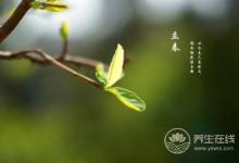 谷雨時節(jié)，谷雨如何養(yǎng)生