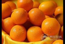 夏天多雨，濕氣加重怎么辦？試試兩款藥膳