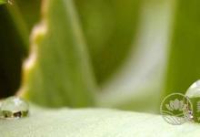 春夏交替，養(yǎng)生飲食需要注意什么？