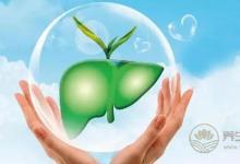 春夏養好肝，健康一整年！護肝食譜趕緊收藏~