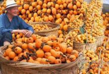 4月晚春多吃6種蔬果養生 不吃就過季了