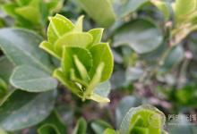 春夏交替，養生需要注意什么？