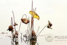 立冬有什么習俗？立冬傳統的七大習俗