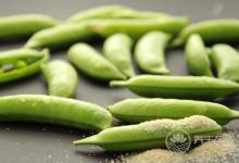 春季會吃豆，營養勝過吃肉