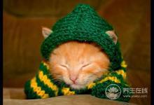 初秋養(yǎng)生要注意給4個(gè)部位保暖