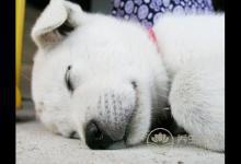 春困夏乏如何緩解 這么活動筋骨有用