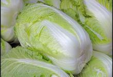 冬天到，常吃3種青菜，好吃營養，全家人都愛