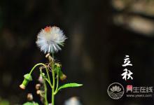 秋葵的營養(yǎng)價(jià)值很高，多吃對(duì)身體有好處