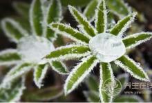  霜降時(shí)節(jié)哪些疾病易復(fù)發(fā)？