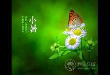 節(jié)氣養(yǎng)生 | 小暑養(yǎng)生飲食有三寶 黃鱔蓮藕綠豆芽