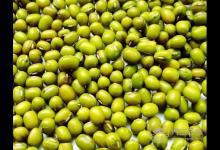 夏季養生，你不能錯過這6種“養生豆”！