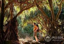 白露前后蛇出沒，如何預防被蛇咬