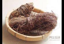 春夏潮濕季，保肝護(hù)肝用雞骨草煲湯