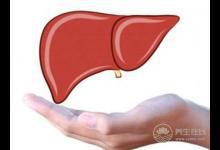 夏季飲食要注意，千萬別吃成脂肪肝