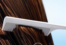 春天養生從“頭”開始,你的頭好好嗎？