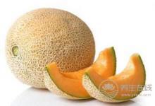  秋季皮膚如何保濕？秋季補水誤區要注意