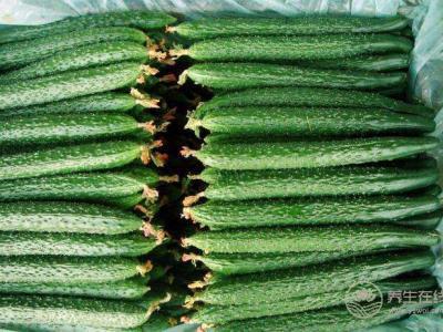 五種蔬菜最適合夏季涼拌