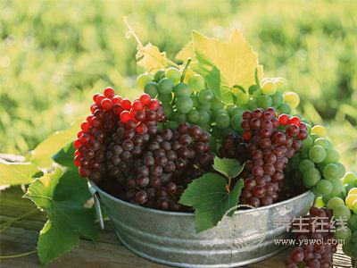 秋天吃葡萄營養(yǎng)價值高