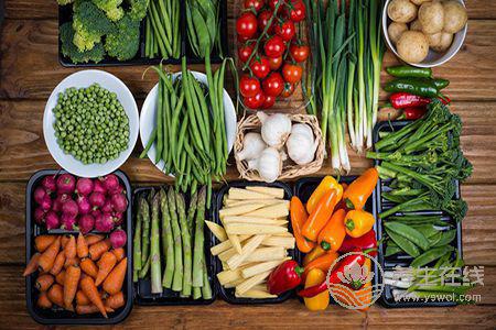 春季吃什么食物不容易上火?