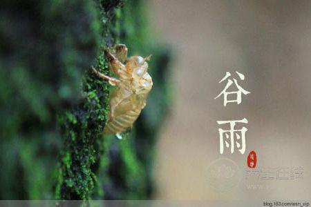 谷雨節氣的由來?