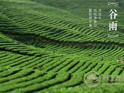 谷雨節氣的由來?