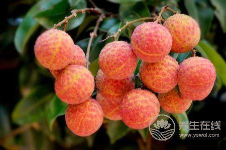 為什么大暑要吃荔枝?-易網健康養生網 為什么大暑要吃荔枝?