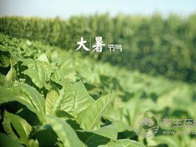 大暑預防哪些疾病發(fā)生?