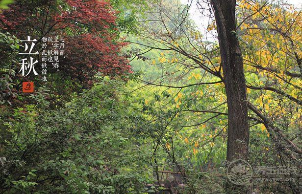 立秋節(jié)氣飲食 宜清肺忌生冷
