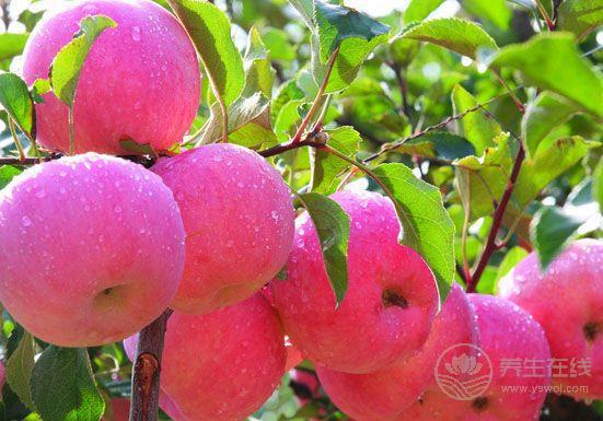 立秋節(jié)氣飲食 宜清肺忌生冷