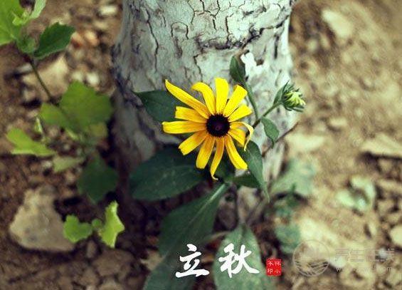 立秋節(jié)氣飲食 宜清肺忌生冷