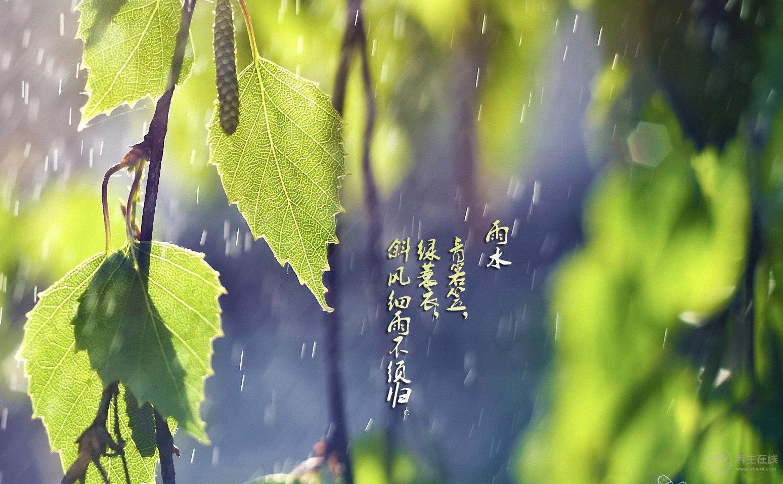 雨水節氣吃這七道菜最養生