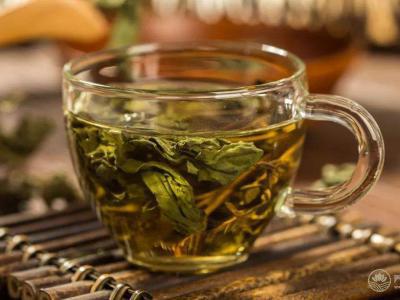 夏季暑濕腸胃不適 推薦5食材祛濕清熱