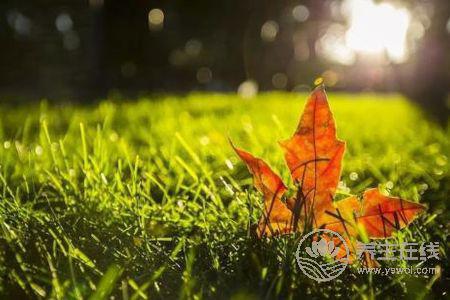 2019年立秋幾點幾分?立秋有哪些節氣習俗?