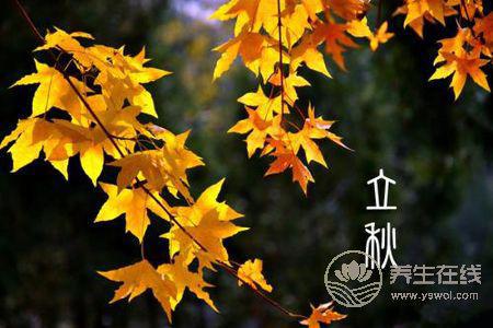 2019年立秋哪一天?立秋進補的禁忌有哪些?