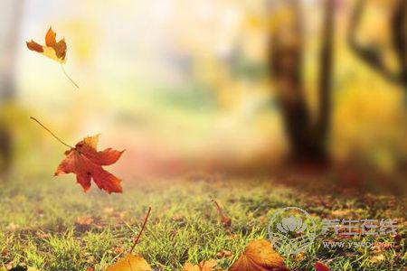 立秋時(shí)間是啥時(shí)候?立秋如何養(yǎng)生?