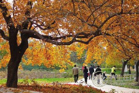 2019年立秋哪一天?立秋進補的禁忌有哪些?