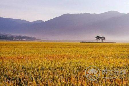 立秋由來是什么?立秋立秋養(yǎng)生食譜有哪些?