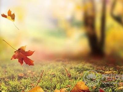 立秋時(shí)間是啥時(shí)候?立秋如何養(yǎng)生?