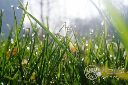 2019年處暑是幾月幾日?處暑的由來是什么?