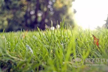 2019年處暑是幾月幾日?處暑的由來是什么?