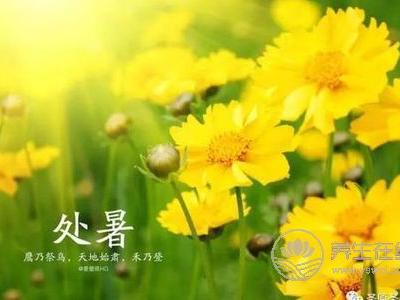 2019年處暑是幾月幾日?處暑的由來是什么?