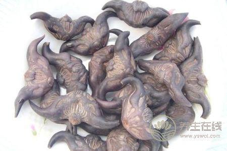 中秋節(jié)養(yǎng)生保健應(yīng)該注意什么?中秋節(jié)飲食禁忌有哪些?