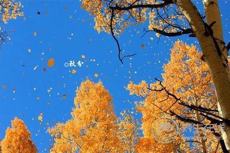 節氣里的秋分是什么意思?秋分節氣的習俗有哪些?