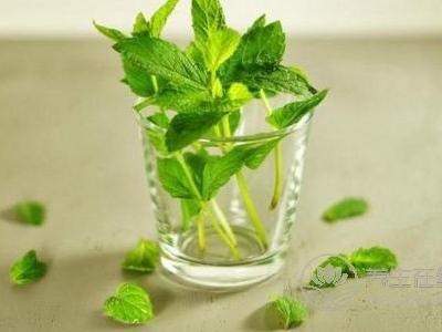 秋季吃什么降肝火?秋季怎么調(diào)理肝火?