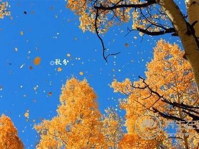 節(jié)氣里的秋分是什么意思?秋分節(jié)氣的習(xí)俗有哪些?